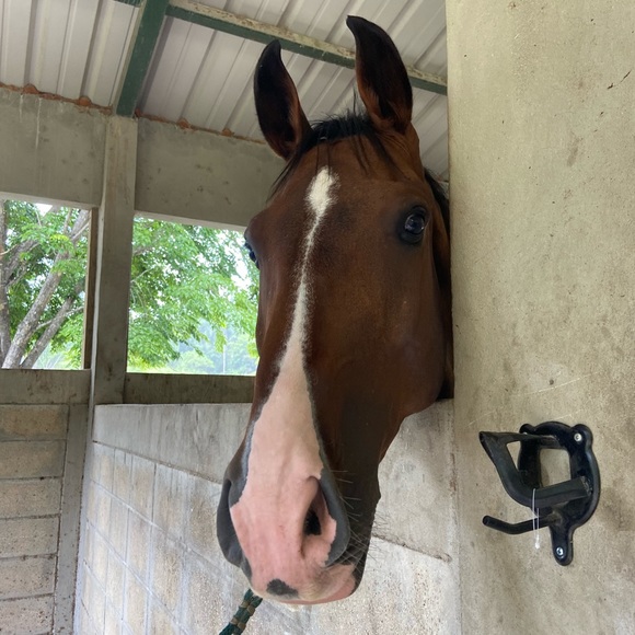 Meet your Posher, Cristina - Picture 1 of 1